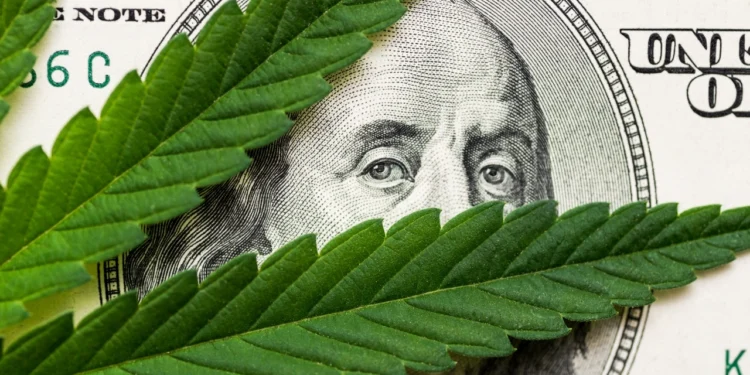 Montana adult-use hashish gross sales set report in 2025 regardless of worth drop