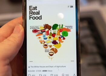 New Dietary Tips Urge Individuals to Eat Extra Protein and Fewer Processed Meals