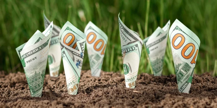 Minnesota hashish gross sales hit $31 million since launch amid rising pains