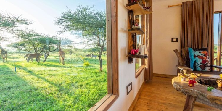 Serval Wildlife: Essentially the most distinctive safari park journey – get nearer than you ever imagined