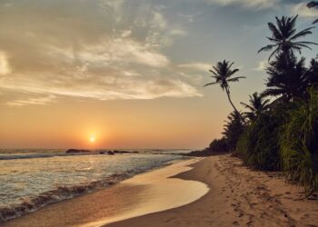 Causes Southern Asia Ought to Be On Your Journey Checklist