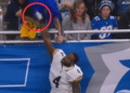 Pittsburgh Steelers receiver DK Metcalf﻿ punches fan throughout sport in opposition to Detroit Lions