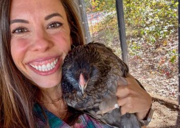 Issues We Outsource With out Remorse