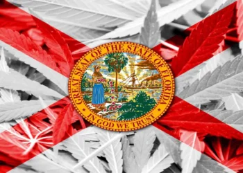 Florida steps up ‘felony probe’ of marijuana legalization marketing campaign