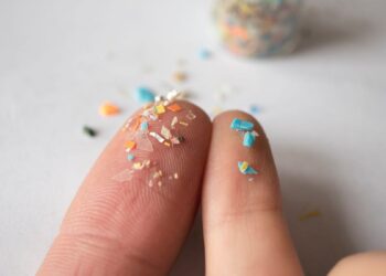 Wish to Keep away from Microplastics in Meals? We Discovered the 8 Most Widespread Meals That Comprise Microplastics