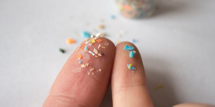 Wish to Keep away from Microplastics in Meals? We Discovered the 8 Most Widespread Meals That Comprise Microplastics