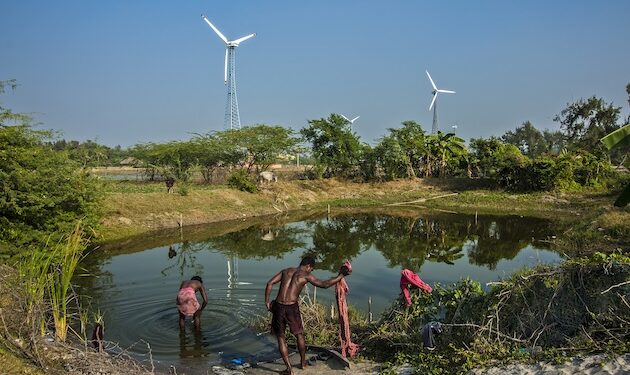 Large Nature-Primarily based Finance Turnaround Wanted to Restore, Shield Ecosystems — World Points