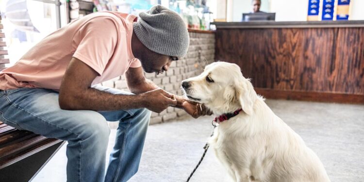 VCA CareClub® Plan evaluate 2026