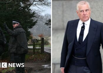 The day Andrew Mountbatten-Windsor was arrested