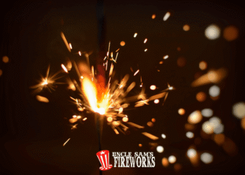 Firework Retailer Chicago: What Native Consumers Search for When Buying Fireworks within the Metropolis