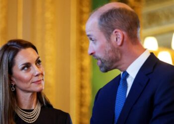 Prince William & Kate Middleton “Deeply Involved” By Epstein Recordsdata