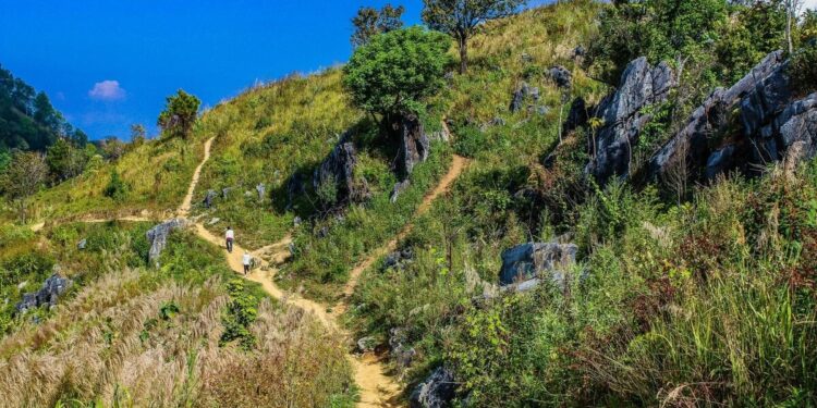 5 Half-Day Hikes With Large Views (Excellent for Burnout Week)