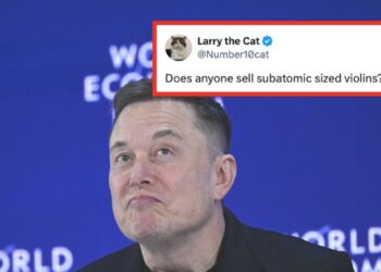 Web Drags Musk For Consideration-In search of Put up On X