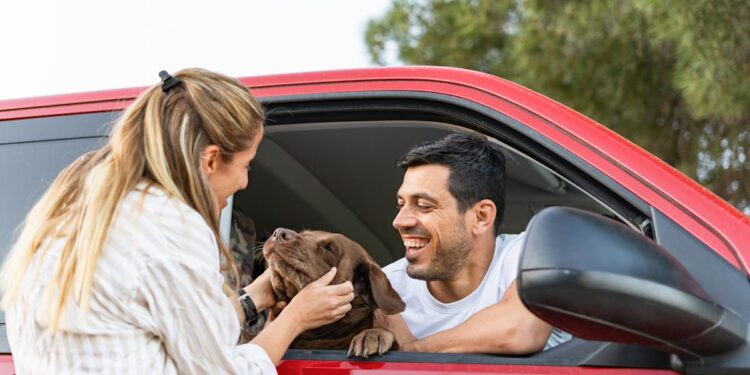 Chewy pet insurance coverage evaluate 2026