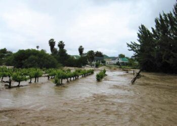 The Hidden Value to Crops and Soil — World Points