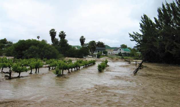 The Hidden Value to Crops and Soil — World Points