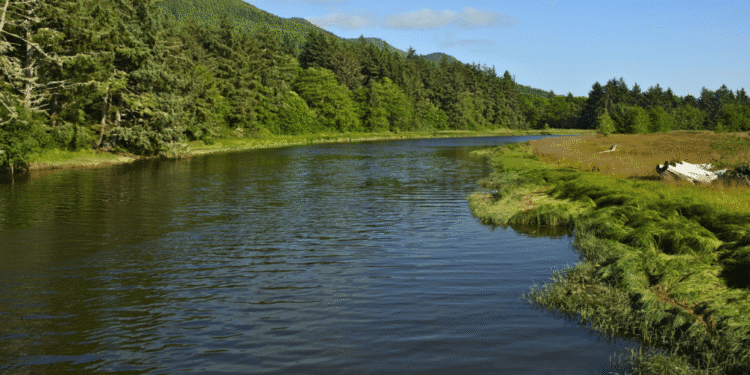 How California Rural Residents Are Benefitting from Digital IOP for Psychological Well being