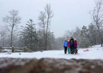 A Uncommon South Carolina Snow Day