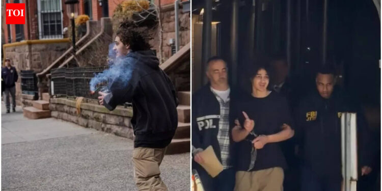 Watch: Accused in New York Metropolis bomb plot flashes ISIS salute whereas in custody