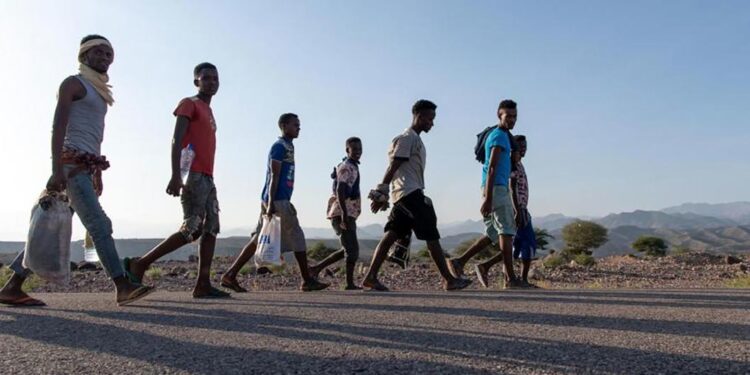 Kidnapped and tortured on an notorious migration path to Saudi Arabia — International Points