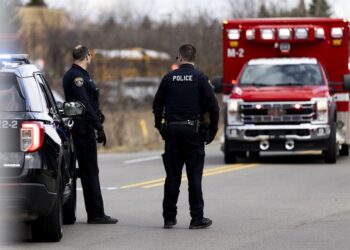 Michigan synagogue attacker ‘misplaced household to Israeli assault’ – official — RT World Information