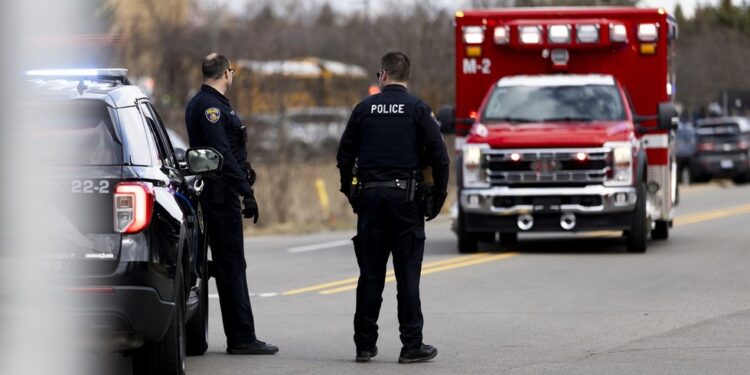 Michigan synagogue attacker ‘misplaced household to Israeli assault’ – official — RT World Information