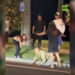 Hawaii protesters assault man in ICE gear (VIDEO) — RT World Information