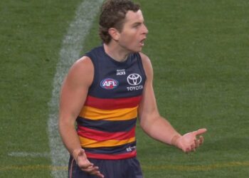 AFL information 2026, Adelaide Crows v Geelong Cats consequence, out of bounds name video Tom Atkins v Zac Taylor, David King response