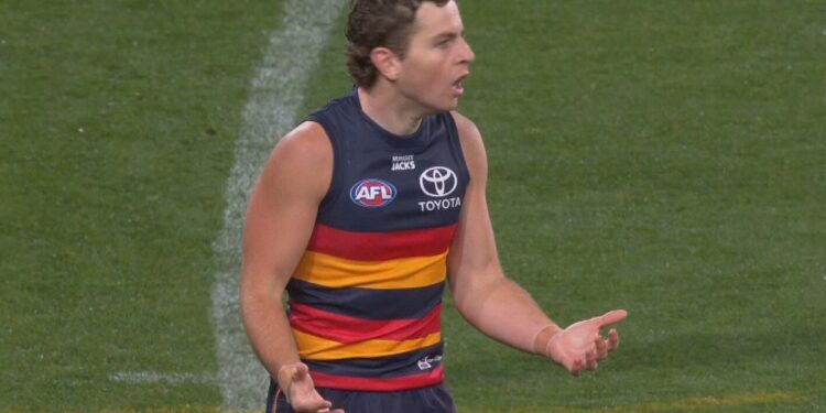 AFL information 2026, Adelaide Crows v Geelong Cats consequence, out of bounds name video Tom Atkins v Zac Taylor, David King response