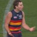 AFL information 2026, Adelaide Crows v Geelong Cats consequence, out of bounds name video Tom Atkins v Zac Taylor, David King response