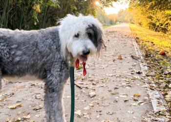 13 Readers Share Their Favourite Strolling Paths