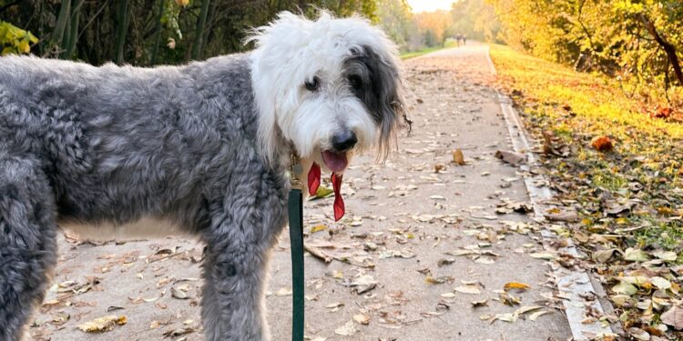 13 Readers Share Their Favourite Strolling Paths