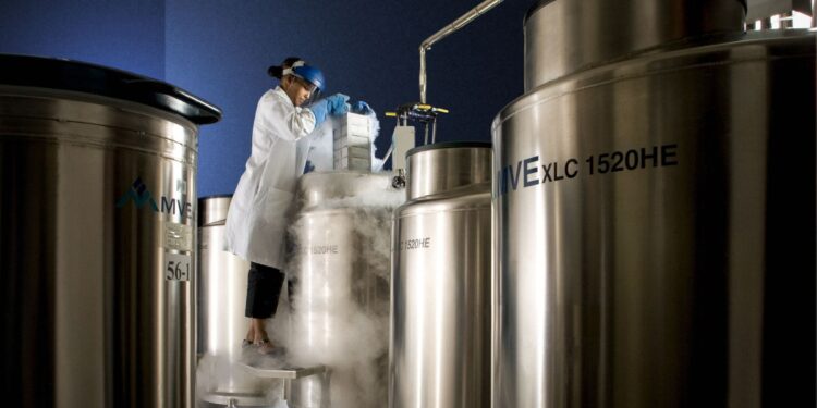 This is why some individuals select cryonics to retailer their our bodies and brains after loss of life