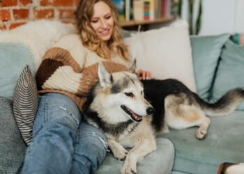 How you can Hold Your House Snug and Pest-Free 12 months Spherical