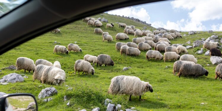 Have a Stress-free Weekend. | Cup of Jo