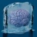 This scientist rewarmed and studied items of his pal’s cryopreserved mind
