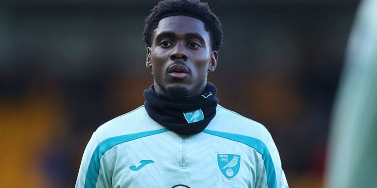 Socceroos striker Mohamed Touré suffers groin damage enjoying for Norwich Metropolis within the Championship, sidelined for six weeks