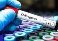 Bavarian Nordic and SII signal settlement for chikungunya vaccine manufacturing