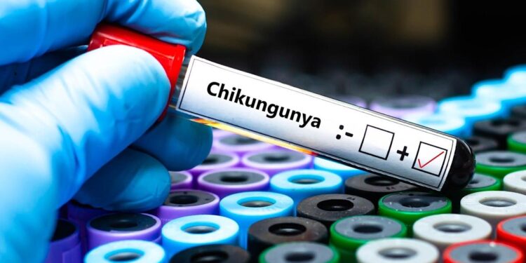 Bavarian Nordic and SII signal settlement for chikungunya vaccine manufacturing