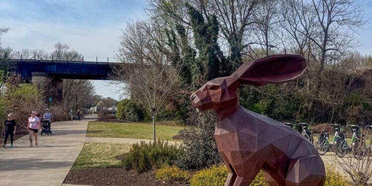 H’s Allergy Complement Line Up