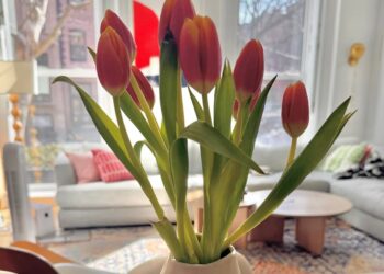 4 Enjoyable Issues | Cup of Jo