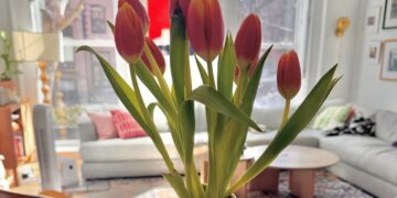 4 Enjoyable Issues | Cup of Jo