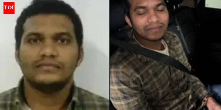 Indian man in Michigan, convicted of sexual abuse of youngsters, arrested by ICE; scholar visa was revoked in 2024