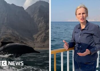BBC experiences close to Strait of Hormuz