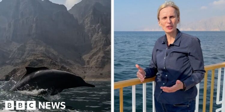 BBC experiences close to Strait of Hormuz