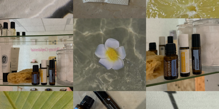 On a regular basis Makes use of You Have to Attempt