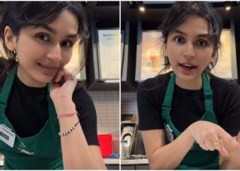 ‘Caught​​​​​​​ in a loop’: Indian pupil in Canada shares wrestle of balancing research and work