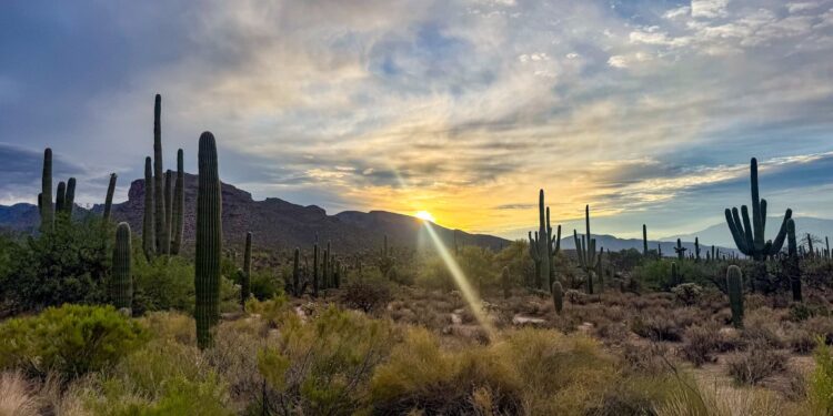 Canyon Ranch Mom Daughter Journey