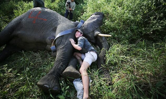 Nations pledge $3.9bn to World Setting Facility as Race to Meet 2030 Targets Tightens — World Points