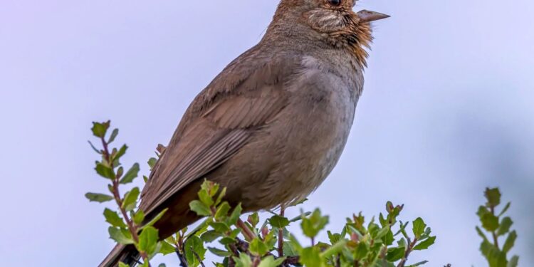 The Obtain: turning down human noise, and LA’s beautiful subway improve